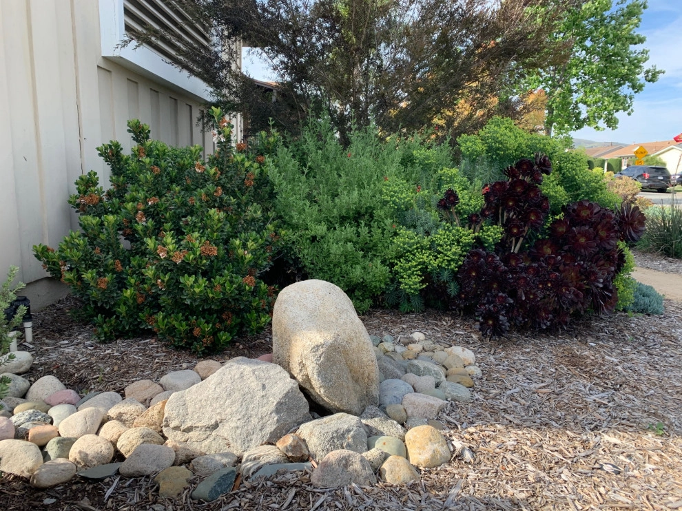 Brea Residence by Avenue 39 Landscape Design - Photo 2
