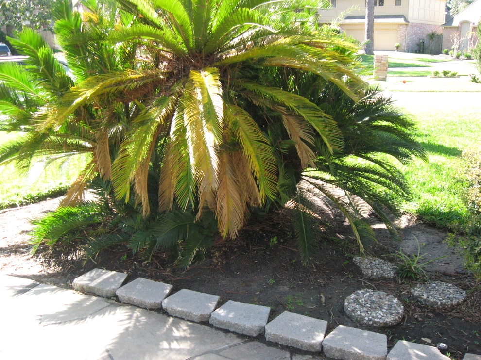 Front Yard Landscape September 2012 by Sterling Design & Landscape Resources - Photo 10