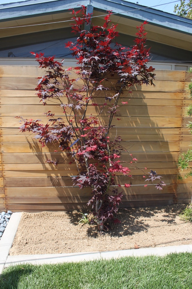 Avenue 39 Landscape Design - Photo 2