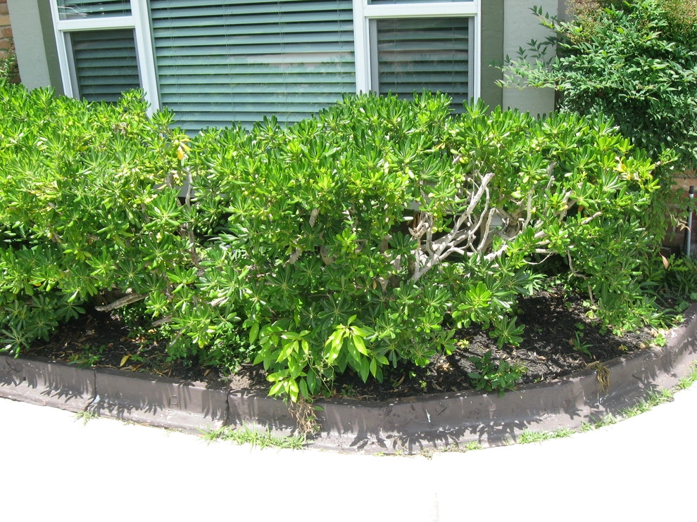 New Low Maintennce Drought Tolerant Landscape- October 2014 by Sterling Design & Landscape Resources - Photo 6