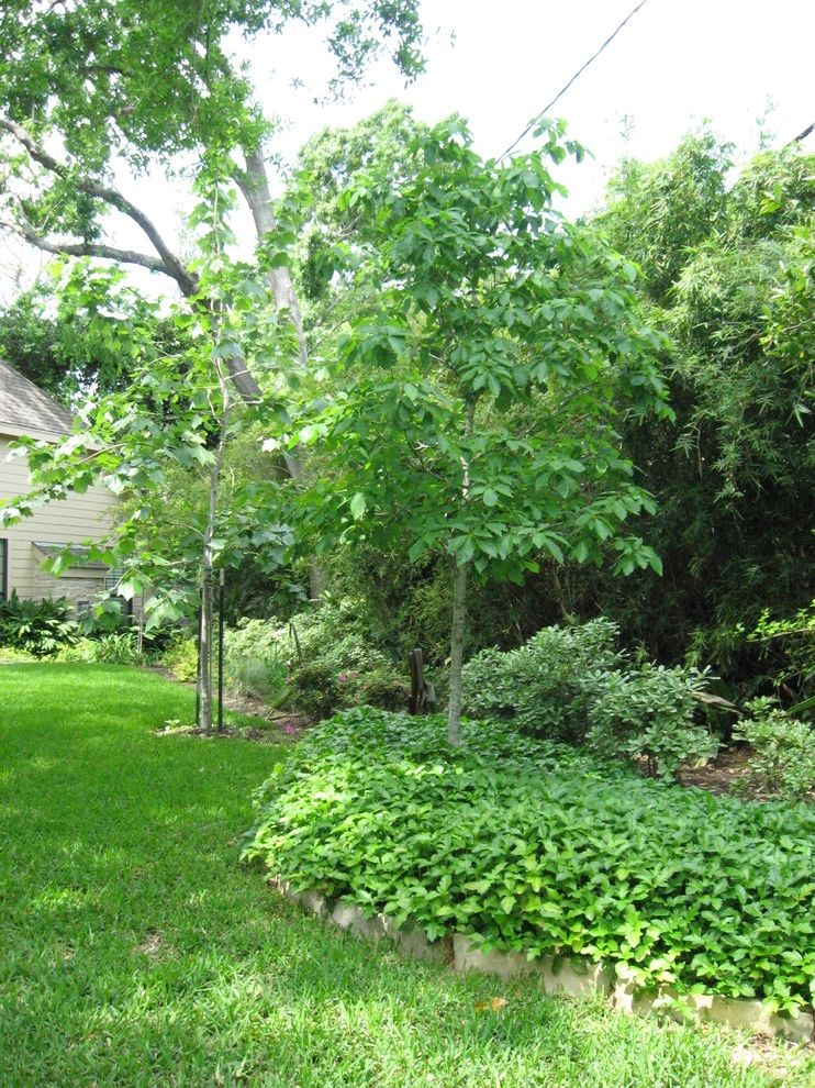 New Construction Landscape May 2009 by Sterling Design & Landscape Resources - Photo 27