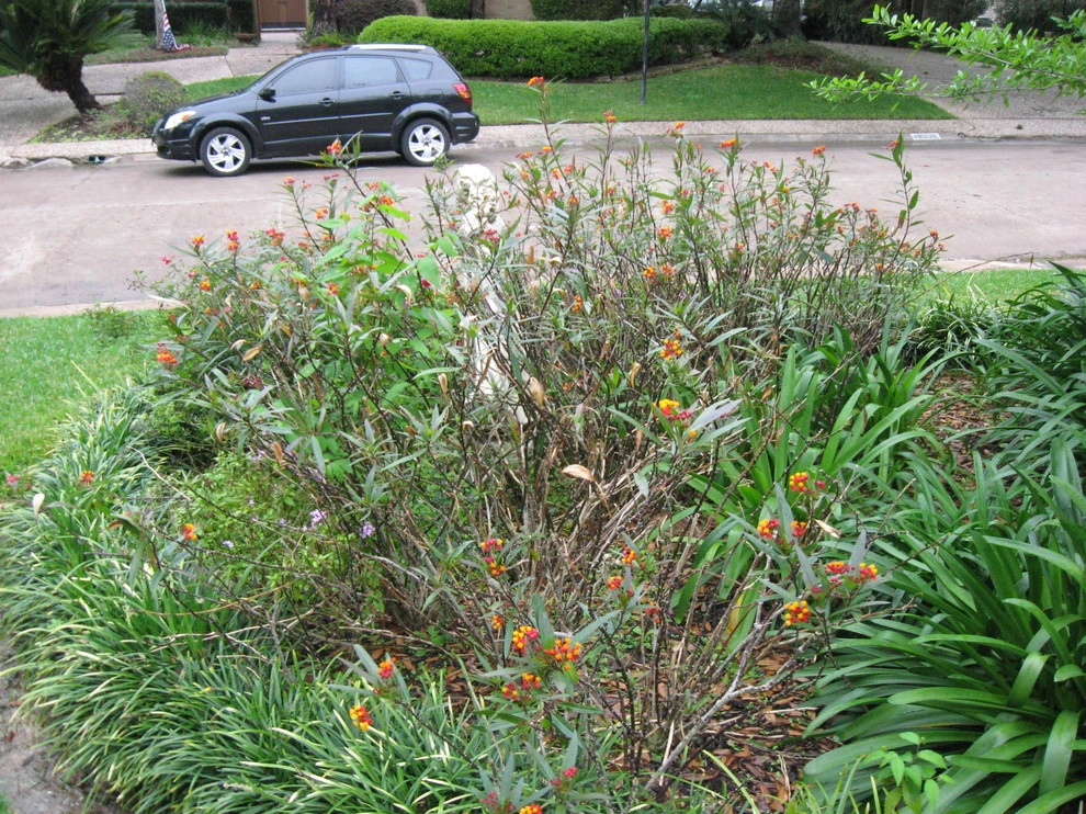 Landscape Updated in Briargrove Park! by Sterling Design & Landscape Resources - Photo 12