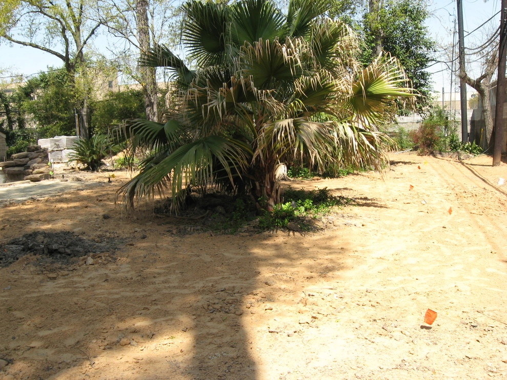 New Construction Landscape May 2009 by Sterling Design & Landscape Resources - Photo 12