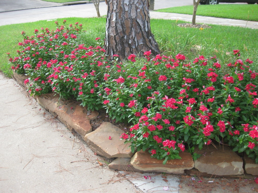 Front Yard Landscape September 2012 by Sterling Design & Landscape Resources - Photo 17
