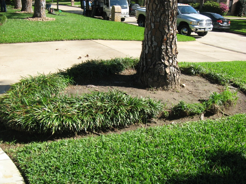 Front Yard Landscape September 2012 by Sterling Design & Landscape Resources - Photo 6
