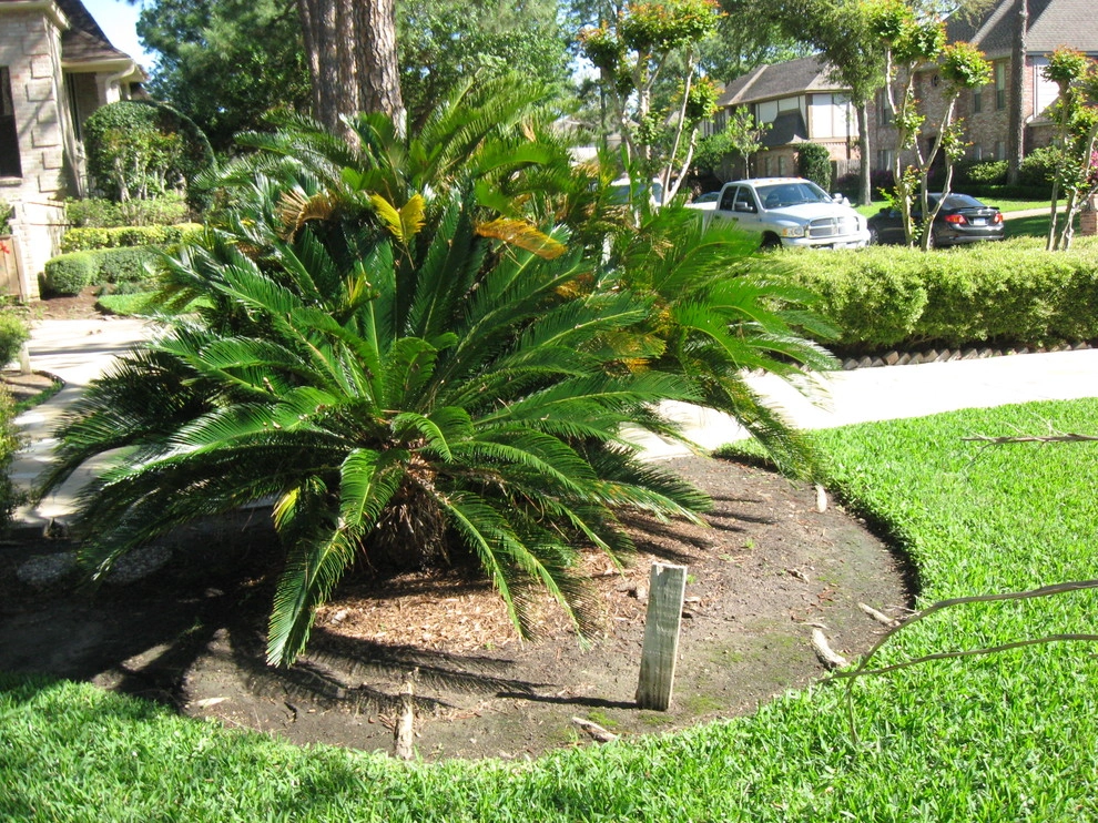 Front Yard Landscape September 2012 by Sterling Design & Landscape Resources - Photo 19