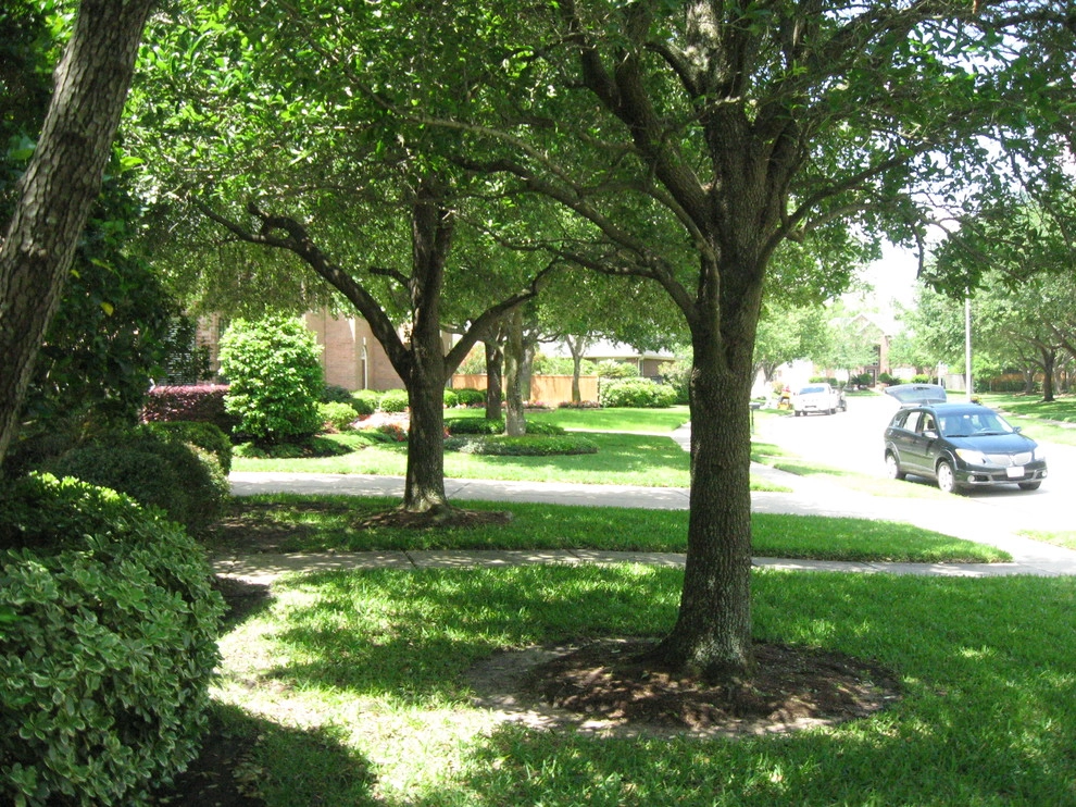 Front Yard Landscape July 2013 by Sterling Design & Landscape Resources - Photo 6