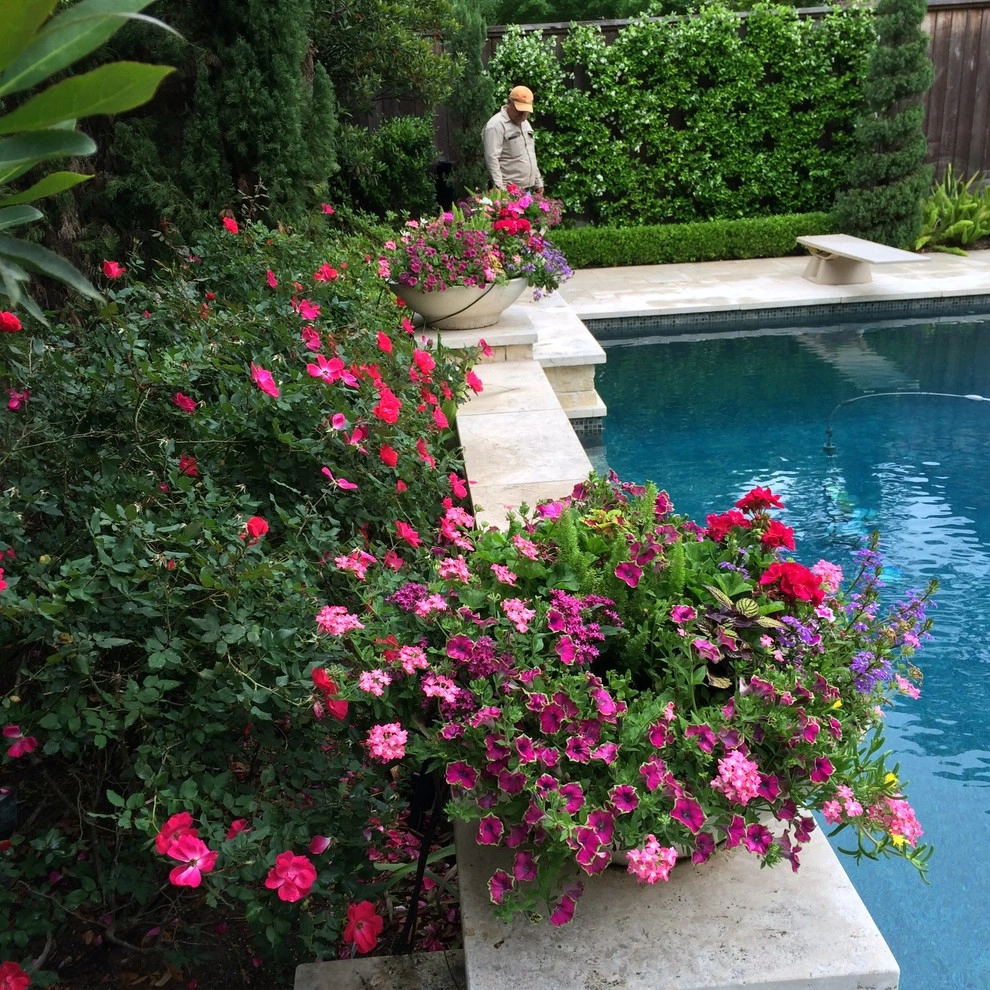 Spring Color Low Bowls by Sterling Design & Landscape Resources - Photo 4
