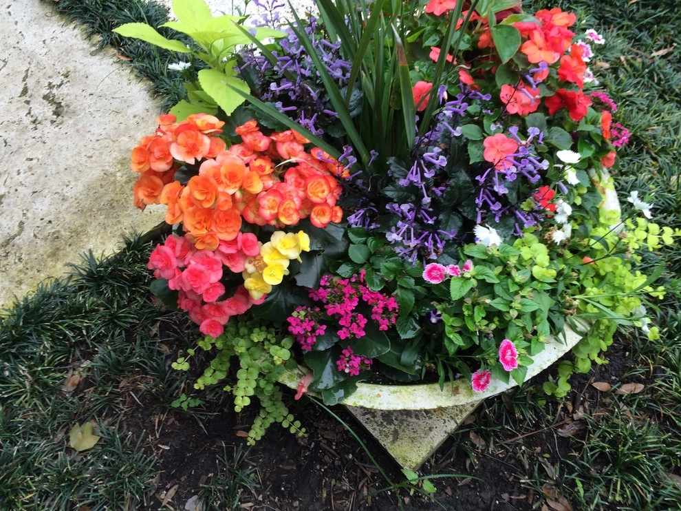 Spring Color Low Bowls by Sterling Design & Landscape Resources - Photo 2