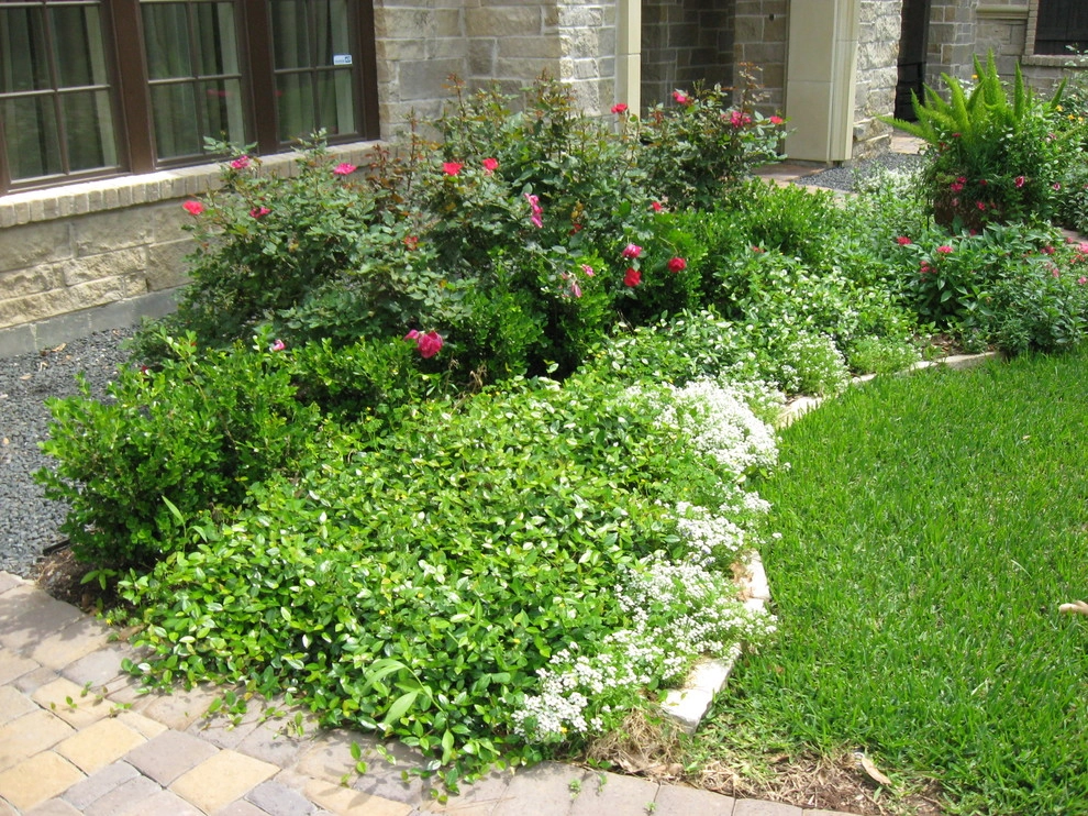 New Construction Landscape May 2009 by Sterling Design & Landscape Resources - Photo 40