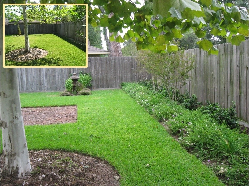 Landscape Revitalization- June 2013 by Sterling Design & Landscape Resources - Photo 11
