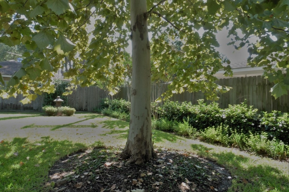 Landscape Revitalization- June 2013 by Sterling Design & Landscape Resources - Photo 16