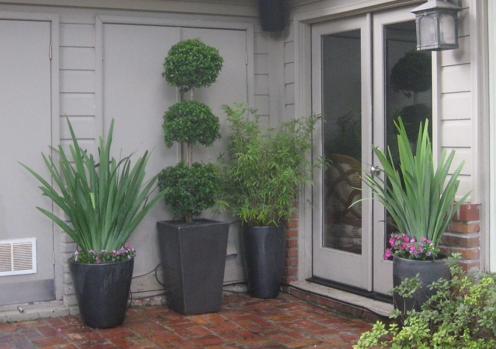 Container Project September 2014 by Sterling Design & Landscape Resources - Photo 11