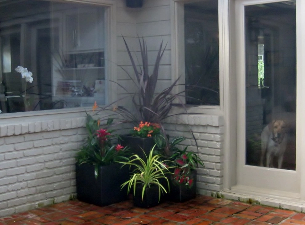Container Project September 2014 by Sterling Design & Landscape Resources - Photo 7