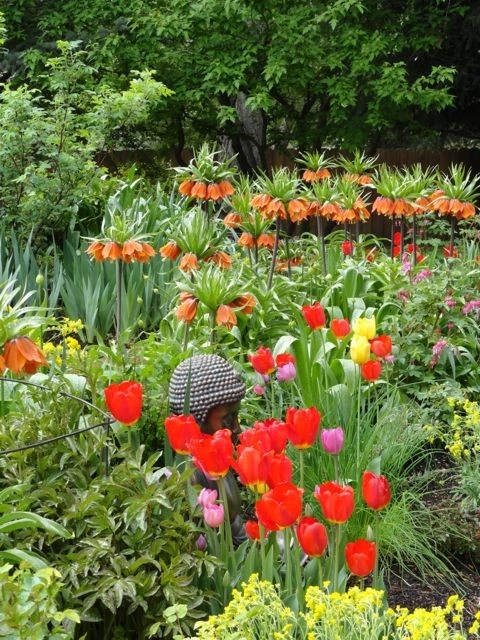 Zen Garden by B. Gardening Landscape Design - Photo 7