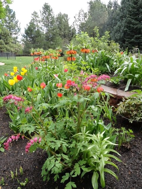 Zen Garden by B. Gardening Landscape Design - Photo 4