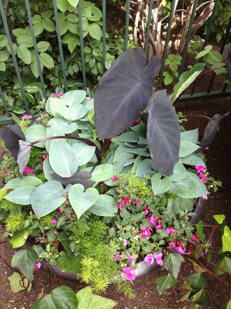 Utilizing Containers by B. Gardening Landscape Design - Photo 5