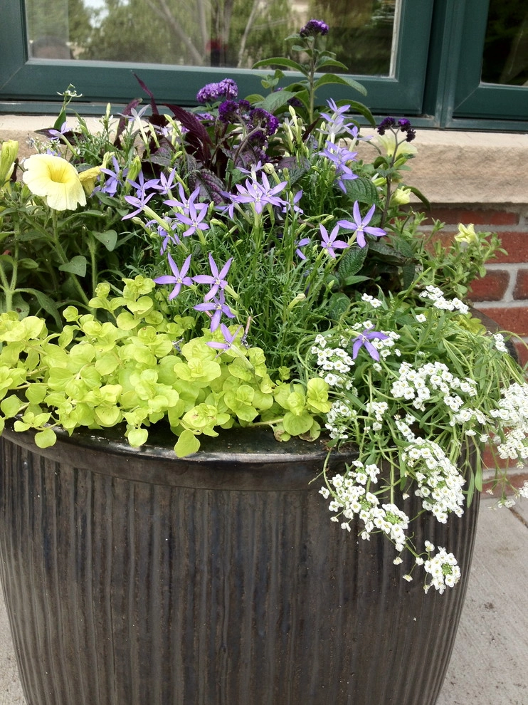 Utilizing Containers by B. Gardening Landscape Design - Photo 6