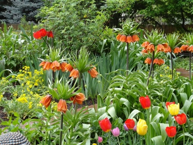 Zen Garden by B. Gardening Landscape Design - Photo 5