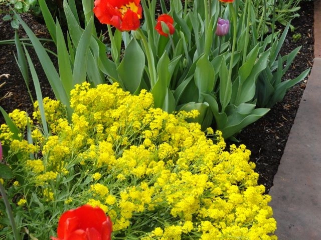 Zen Garden by B. Gardening Landscape Design - Photo 2