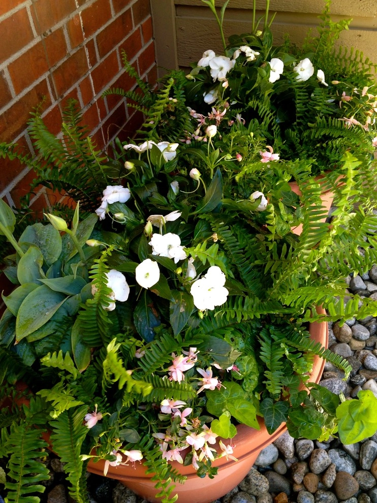 Utilizing Containers by B. Gardening Landscape Design - Photo 3