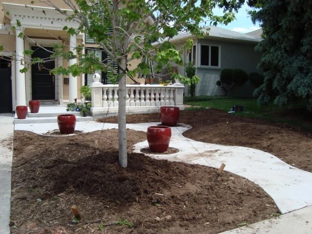 Mediterranean and Xeric by B. Gardening Landscape Design - Photo 9