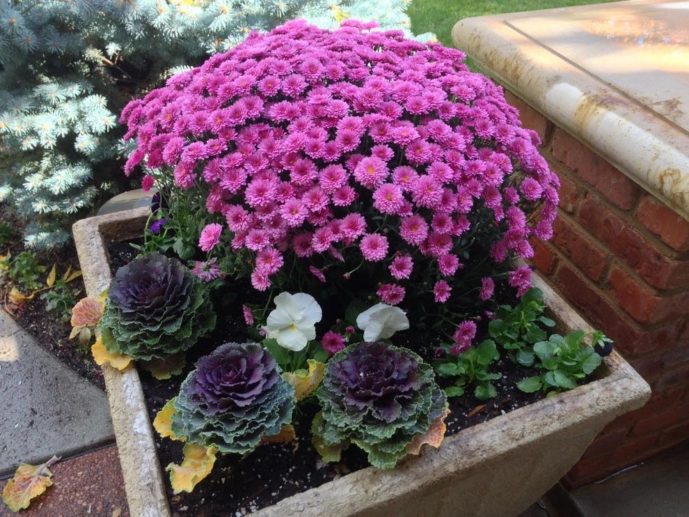 Utilizing Containers by B. Gardening Landscape Design - Photo 4