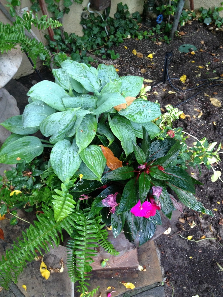 Utilizing Containers by B. Gardening Landscape Design - Photo 7