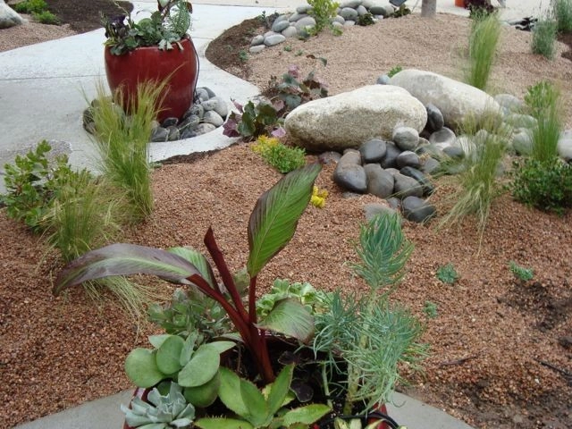 Mediterranean and Xeric by B. Gardening Landscape Design - Photo 5