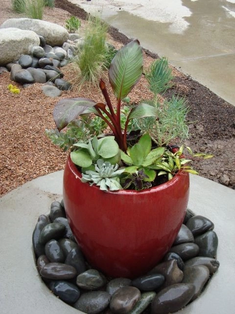 Mediterranean and Xeric by B. Gardening Landscape Design - Photo 14
