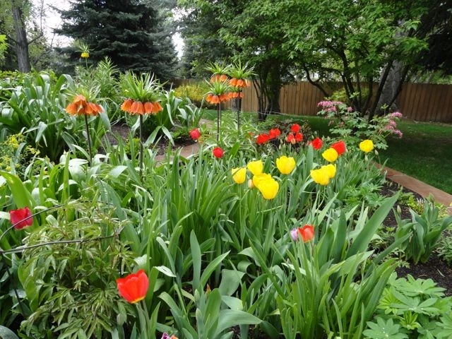 B. Gardening Landscape Design - Photo 2