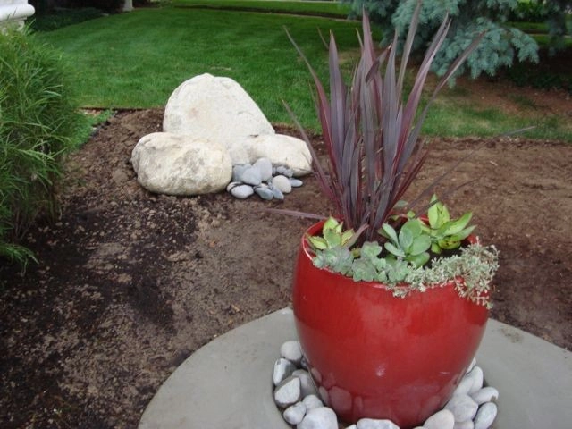 Mediterranean and Xeric by B. Gardening Landscape Design - Photo 11