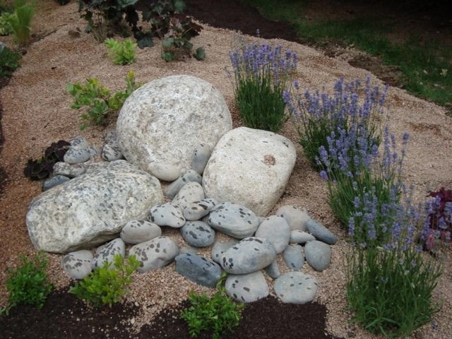 Mediterranean and Xeric by B. Gardening Landscape Design - Photo 7