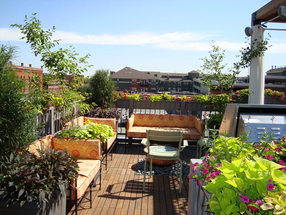 Rooftop Lounge by B. Gardening Landscape Design - Photo 3