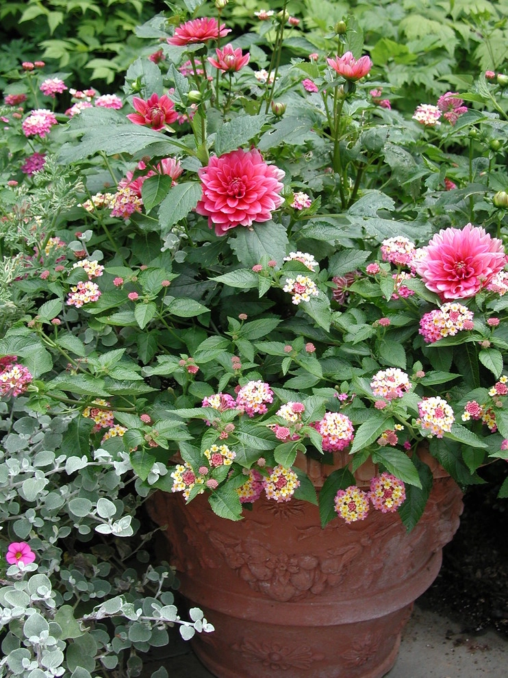 The Best Containers by Back To Nature Home & Garden - Photo 2