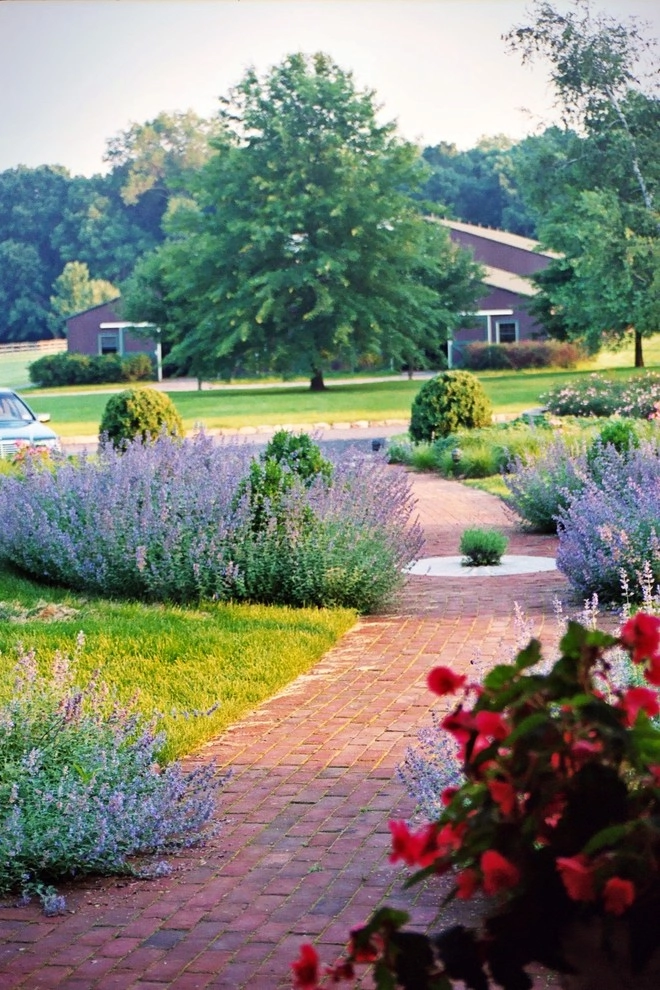 Deer Resistant Landscapes by Back To Nature Home & Garden - Photo 10