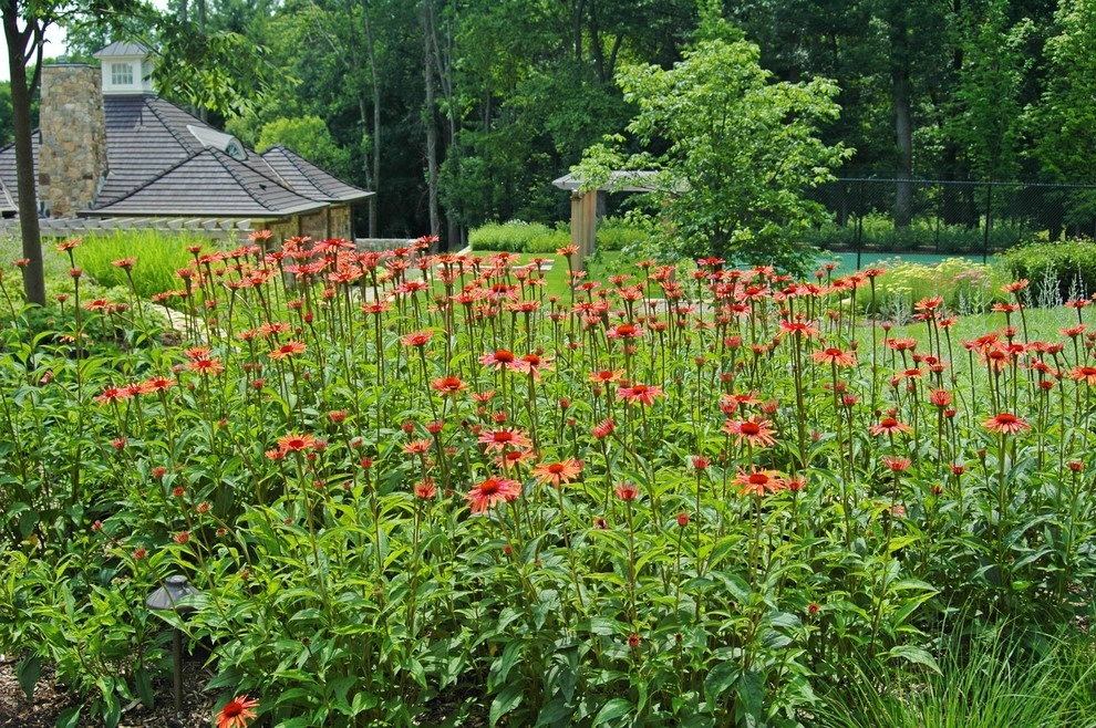 Back To Nature Home & Garden - Photo 10