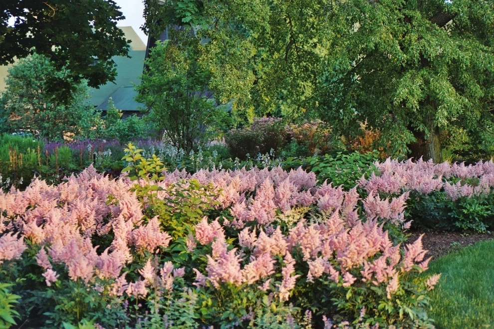 Deer Resistant Landscapes by Back To Nature Home & Garden - Photo 8