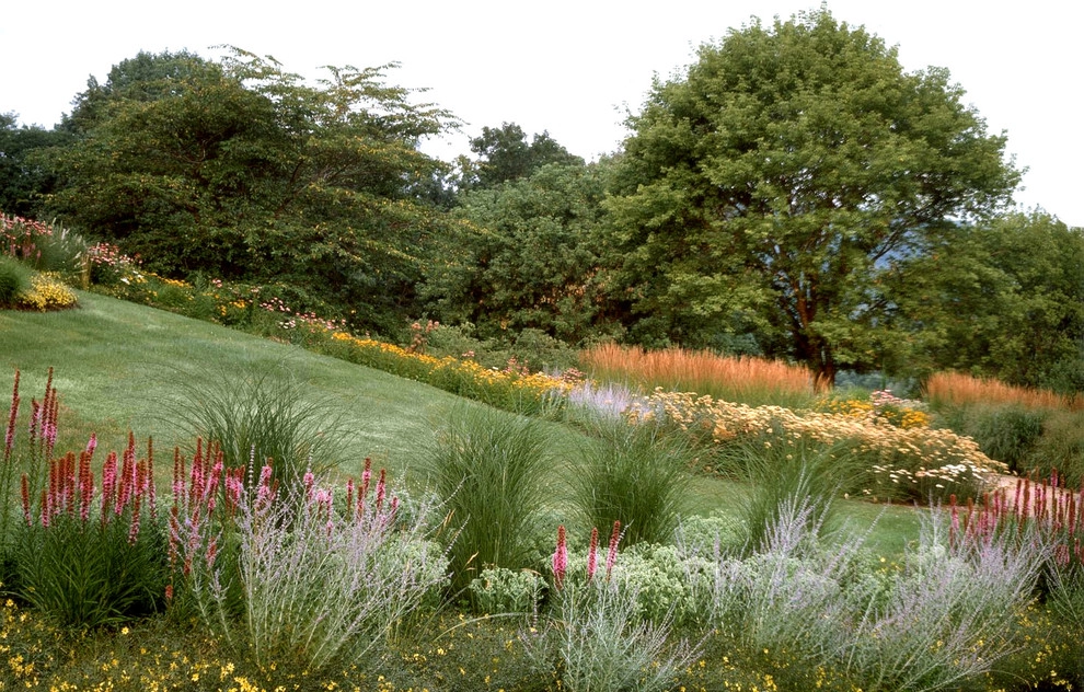 Butterfly Meadows by Back To Nature Home & Garden - Photo 5
