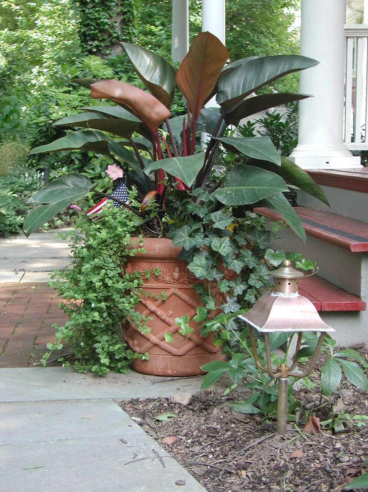 The Best Containers by Back To Nature Home & Garden - Photo 3