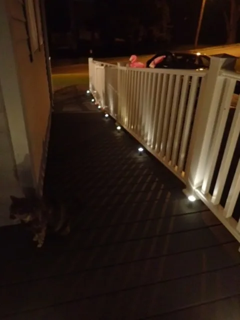 Vestal Deck Project by Dundon Construction LLC - Photo 2