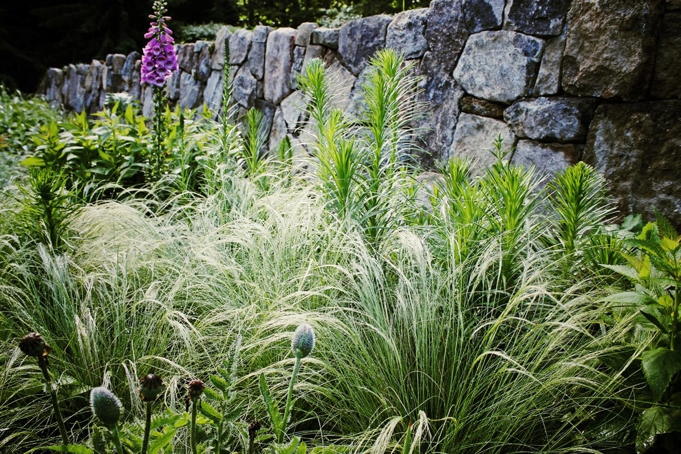 Deer Resistant Landscapes by Back To Nature Home & Garden - Photo 3