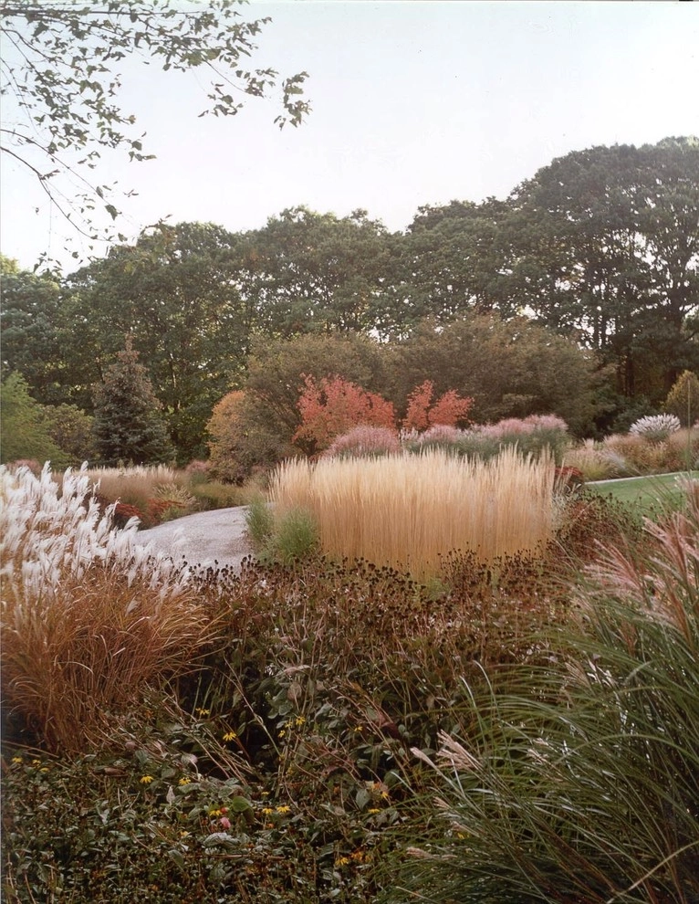 Deer Resistant Landscapes by Back To Nature Home & Garden - Photo 11