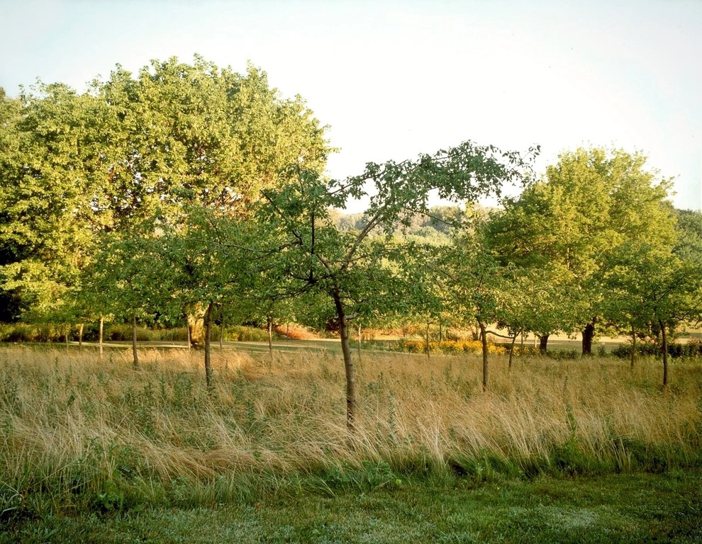 Deer Resistant Landscapes by Back To Nature Home & Garden - Photo 6