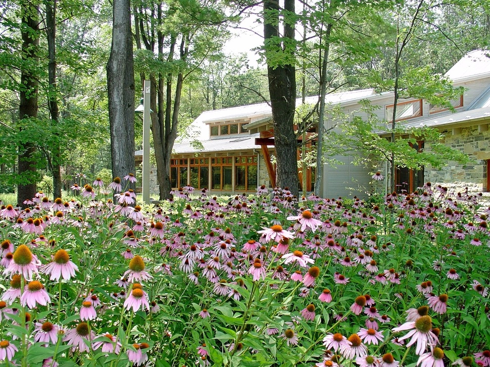 Deer Resistant Landscapes by Back To Nature Home & Garden - Photo 7