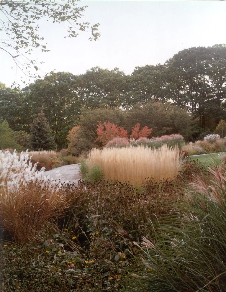 Butterfly Meadows by Back To Nature Home & Garden - Photo 3