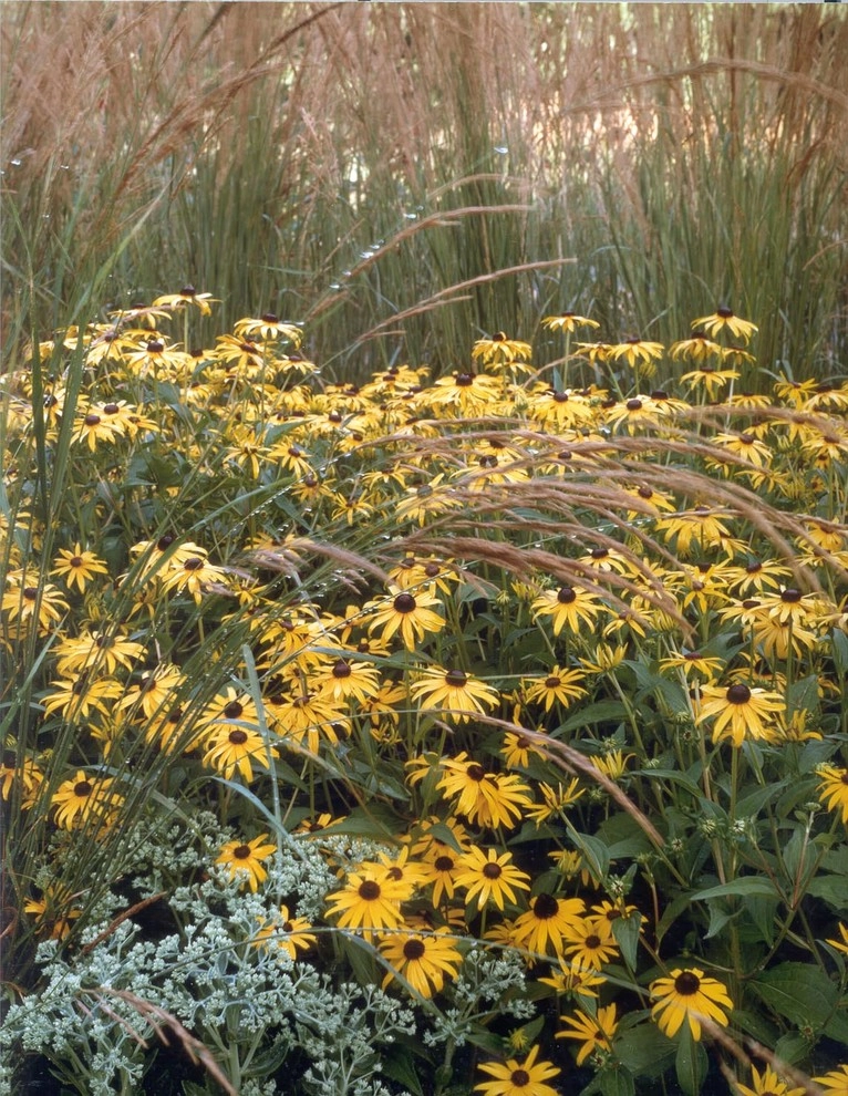 Butterfly Meadows by Back To Nature Home & Garden - Photo 6