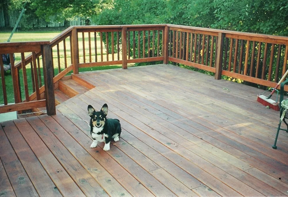 Newt Construction LLC - Photo 13