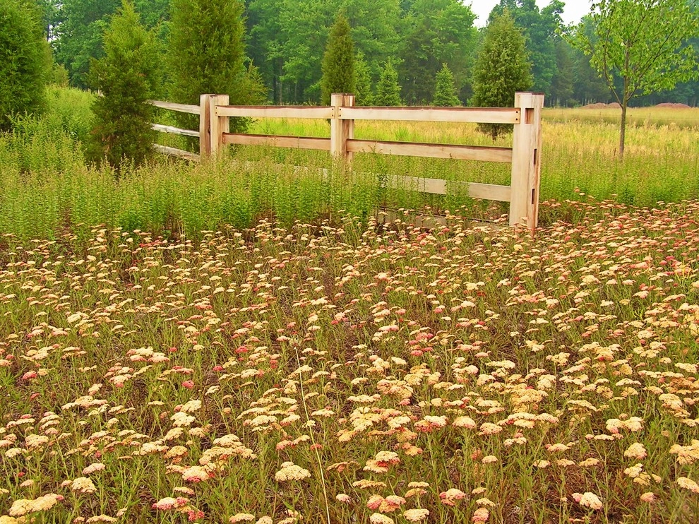 Deer Resistant Landscapes by Back To Nature Home & Garden - Photo 2
