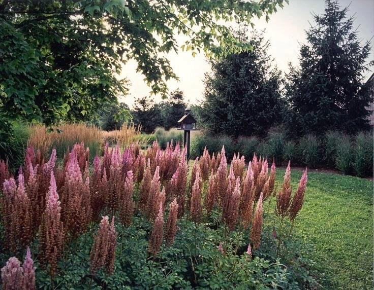 Deer Resistant Landscapes by Back To Nature Home & Garden - Photo 12